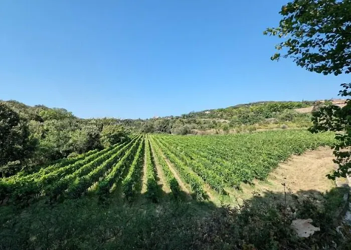 La Galante